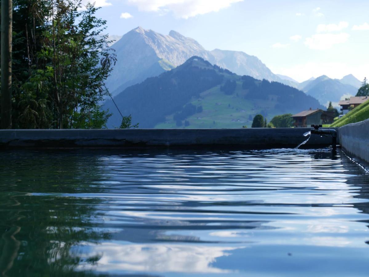 Chalet Sonnenheim, Wohnung Mit Panoramafenster Adelboden Exteriör bild